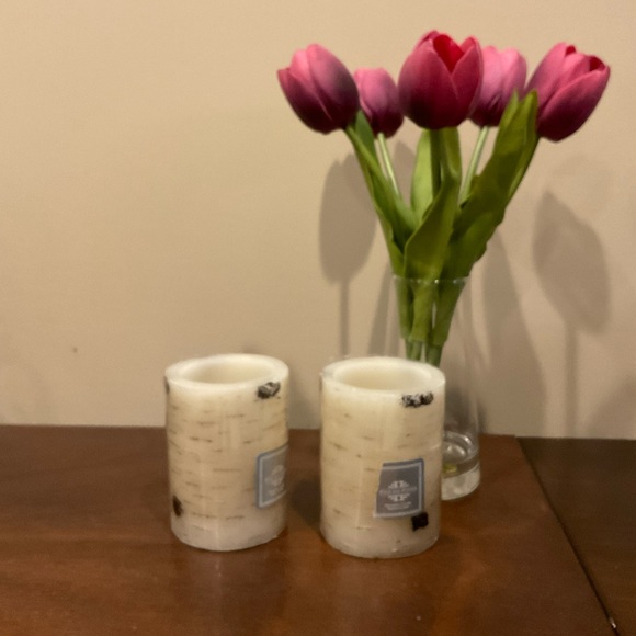 Fitz and Floyd Accents 2 Birch Look Real Wax Flameless Candles